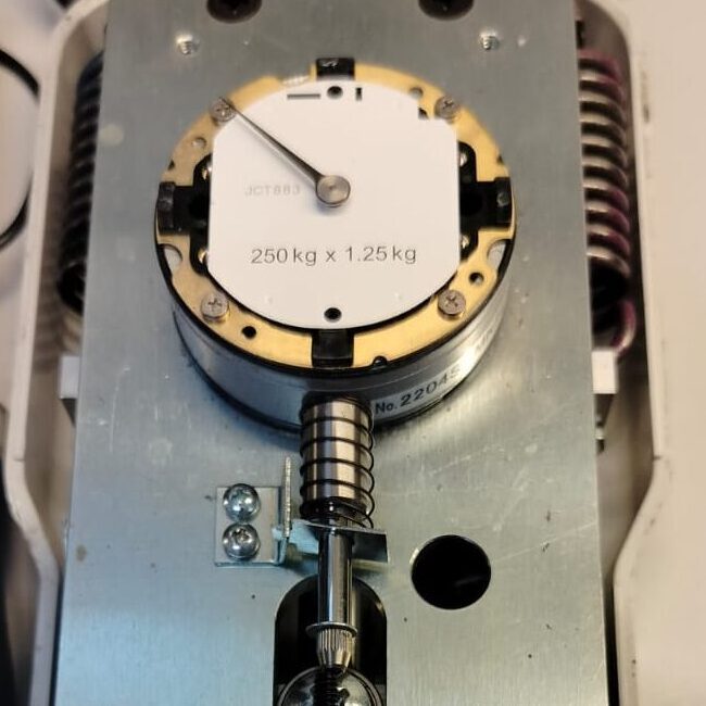 Zdjęcie WhatsApp 2024-07-19 o 20.55.48_f2adfc89